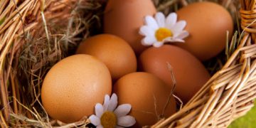 Comment se laver les cheveux avec un oeuf ?